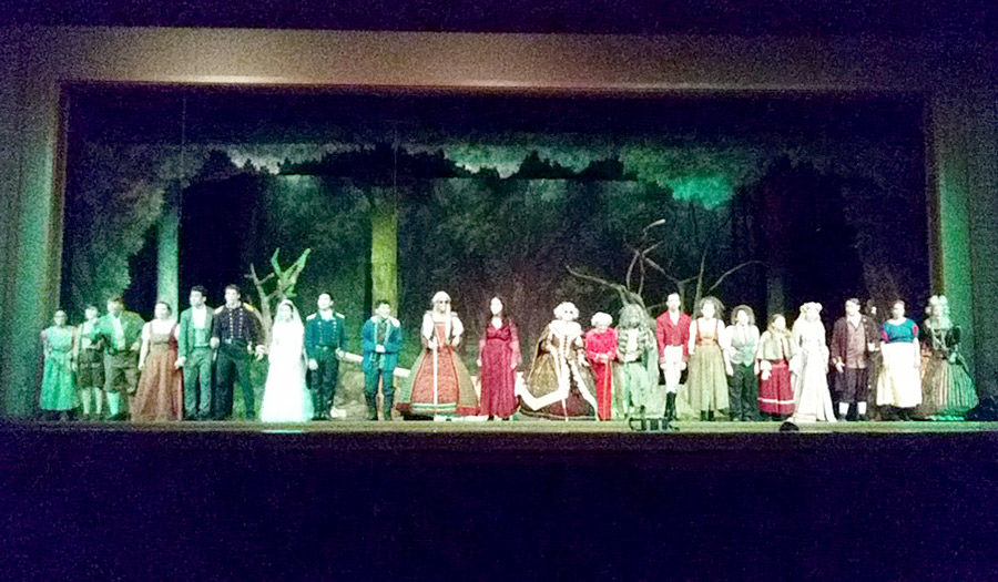 The cast of Into the Woods lines up for the curtain call during dress rehearsal. The musical runs from Nov. 15-17 at 7 p.m. Tickets are available at the door for $8 (adults) and $5 (students). 