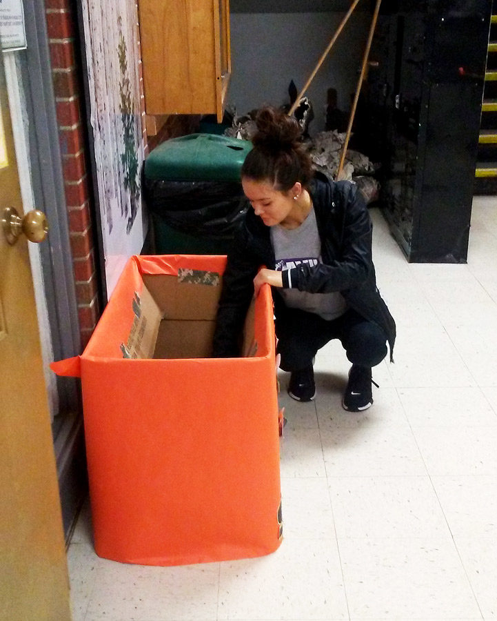 Emptying+a+shoe+donation+box%2C+President+Senior+Talynn+Simer+collects+the+shoe+for+the+drive.+The+shoe+will+be+donated++to+families+in+Haiti.